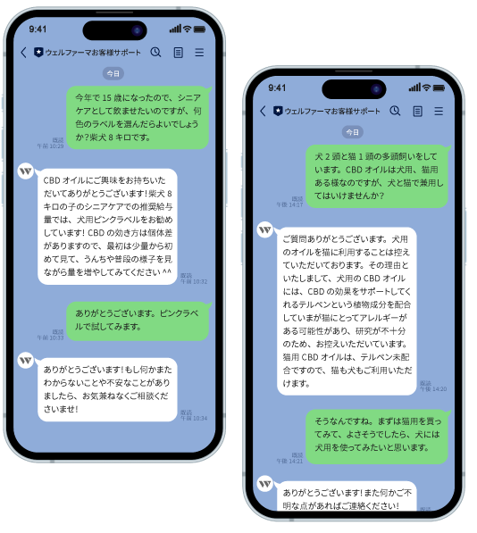 イメージ画像